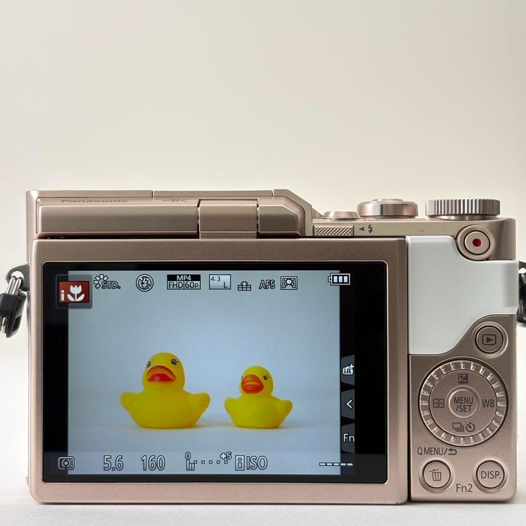 Panasonic LUMIX DC-GF10W Wi-Fi搭載　デジカメ155