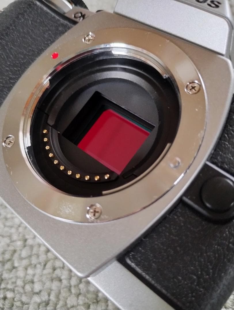 【おまけ付き】OLYMPUS OM-D E-M10 ダブルズームキット