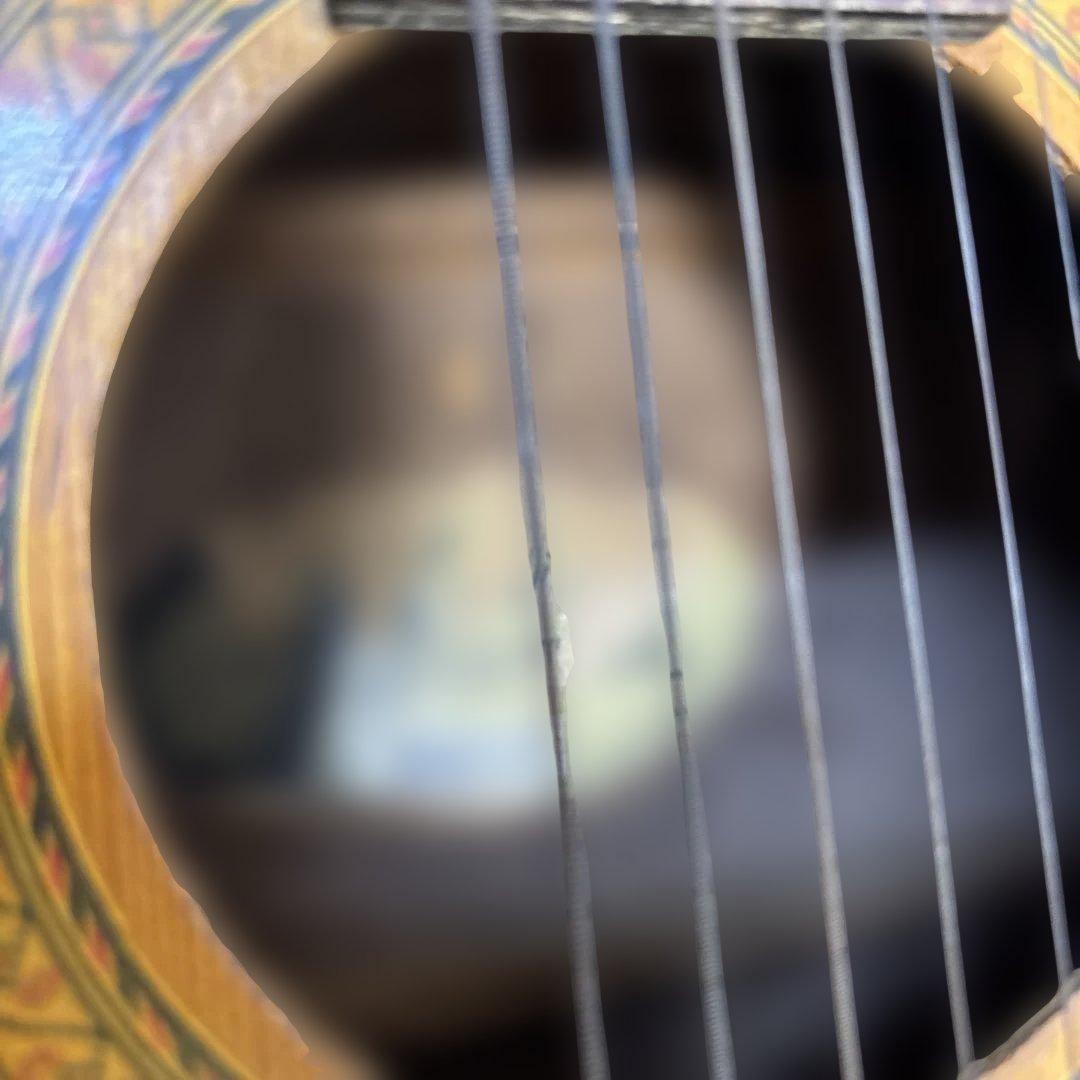 Audition アコースティックギター 6弦　QW4817