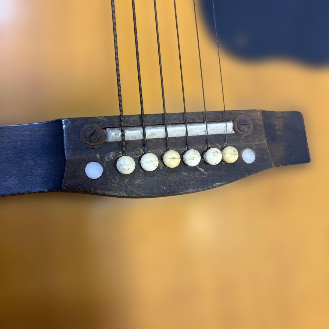 Audition アコースティックギター 6弦　QW4817