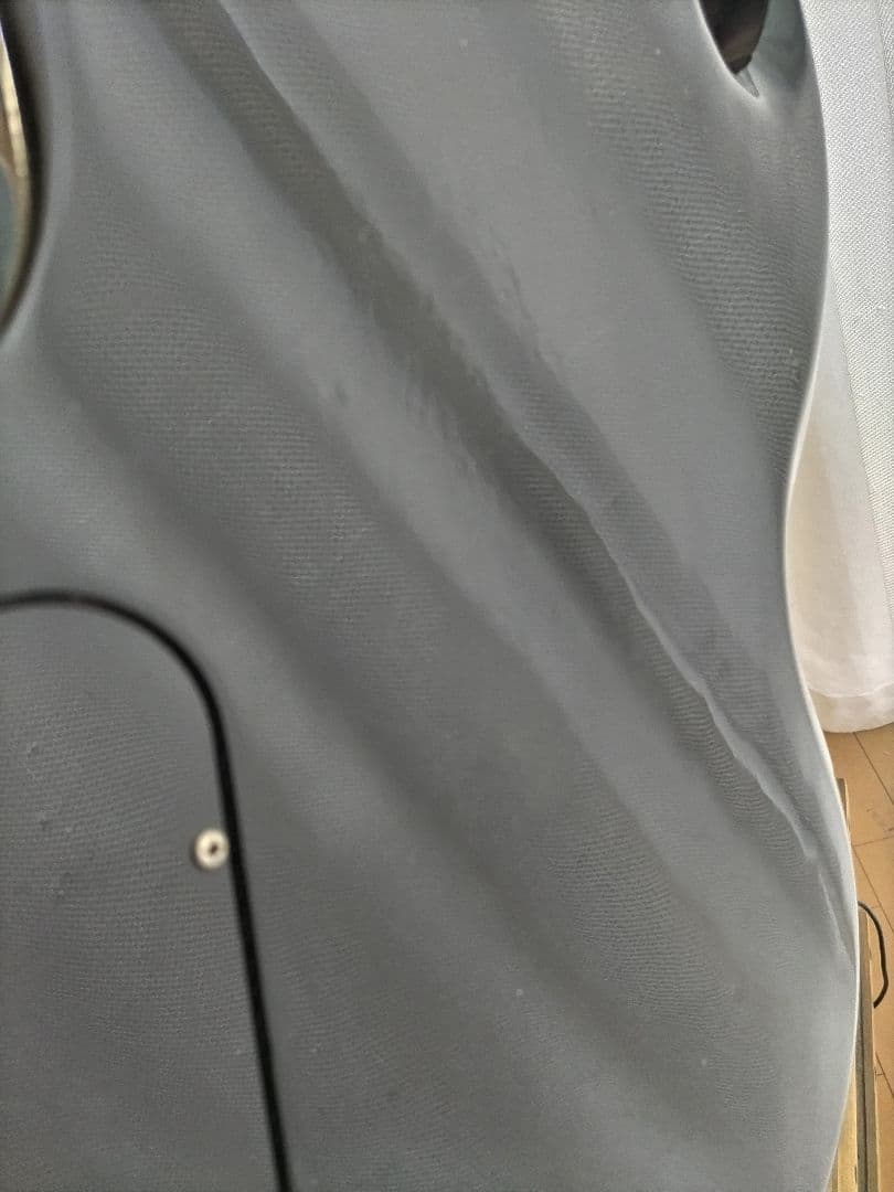 値下げ不可 Gibson SG Special 2004