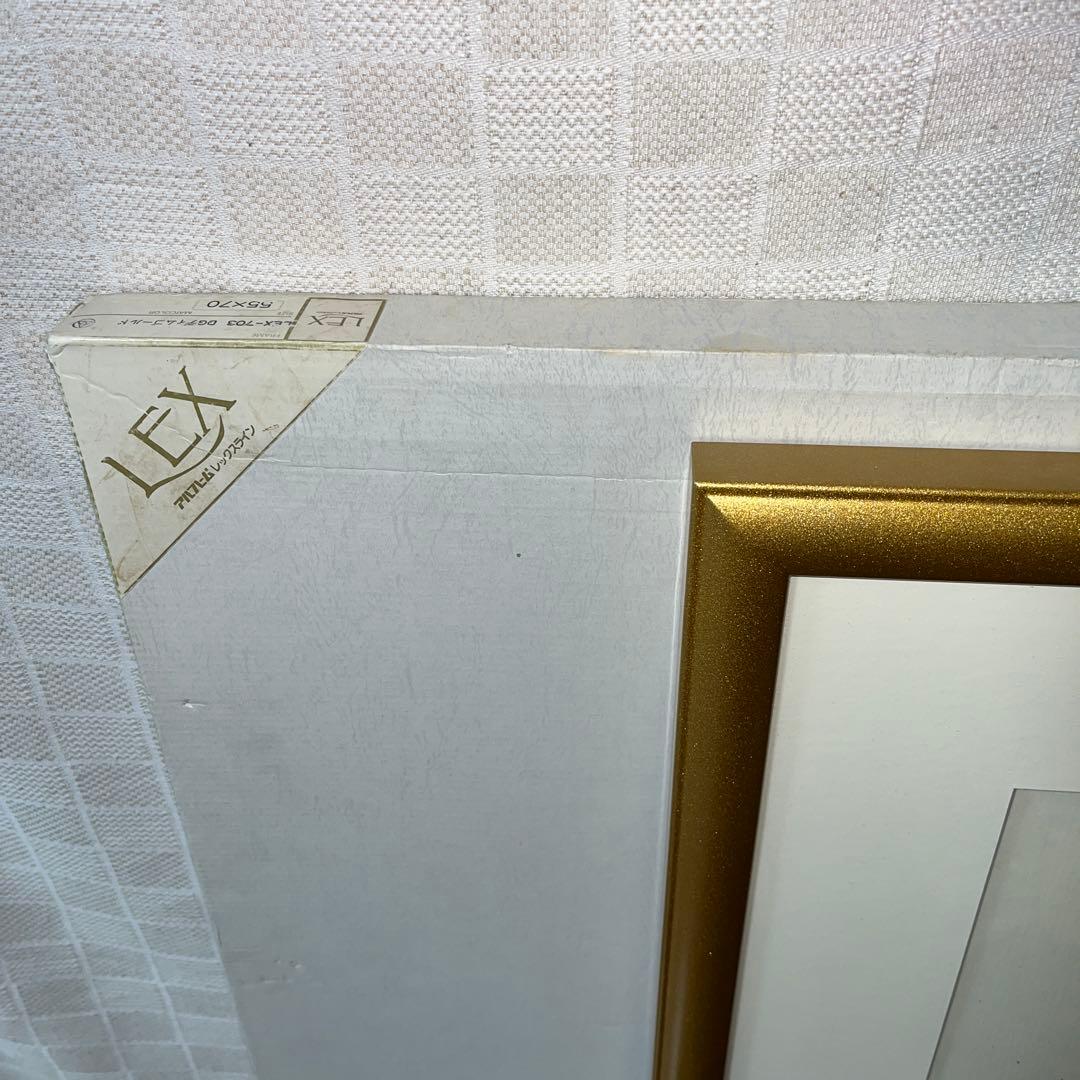 ⭕️画家　金子國義　未使用美品　箱で保管　褪色無し　[題　白鳥]　リトグラフ