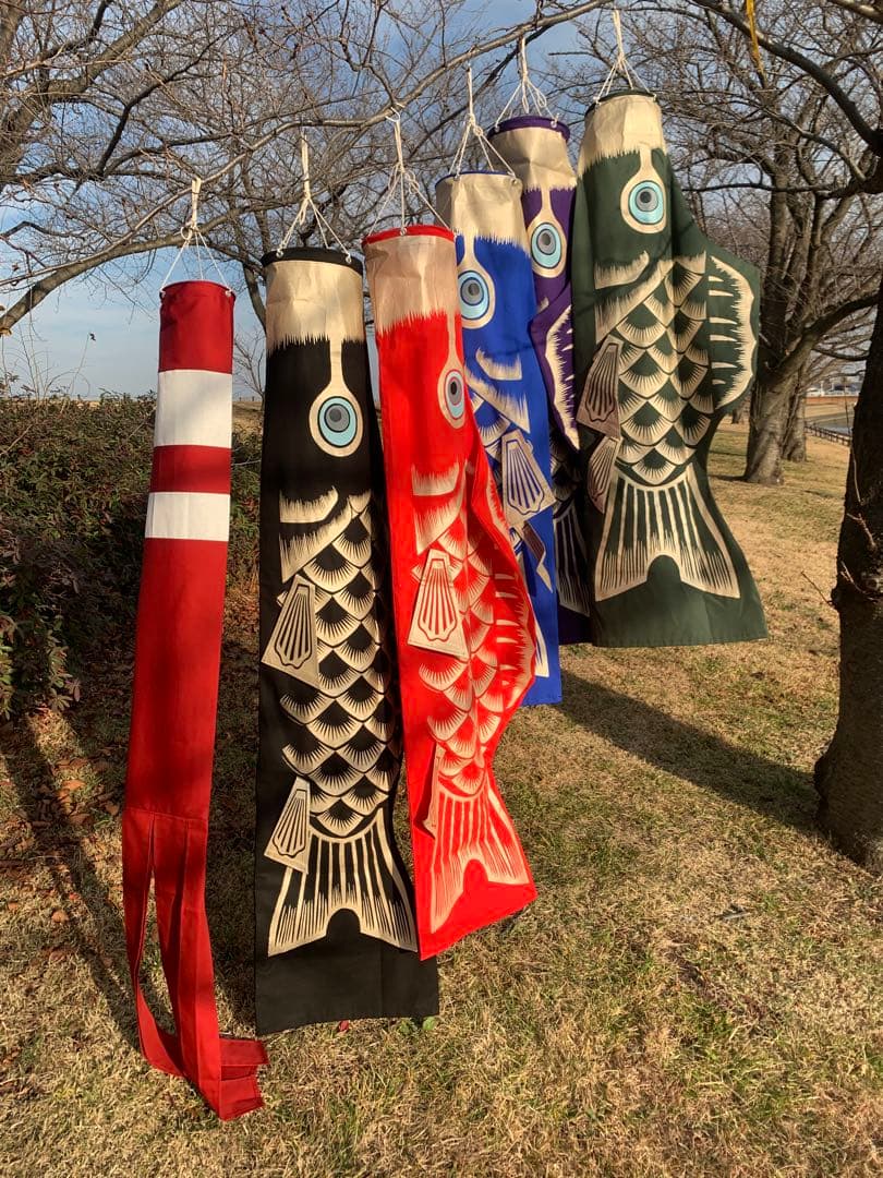 歌川広重「名所江戸百景 水道橋駿河台」手染め鯉のぼり　紫　1.5mセット鯉のぼり