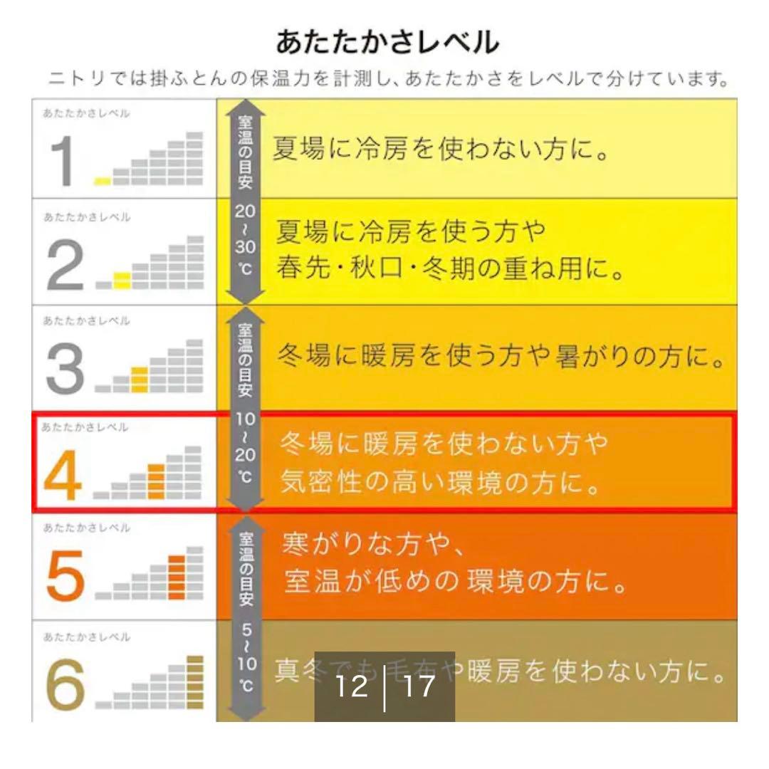 【クイーン】ニトリ ホテルスタイル掛け布団 (Nホテル2Q)