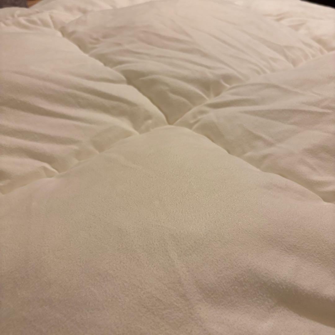 【クイーン】ニトリ ホテルスタイル掛け布団 (Nホテル2Q)