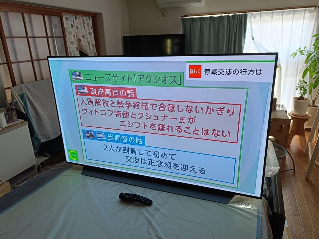 Du Hong LG OLED55C9PJA 2019年製 4K 有機EL