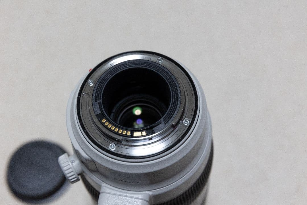 K*n様 EF100-400mm F4.5-5.6L IS II USM 美品