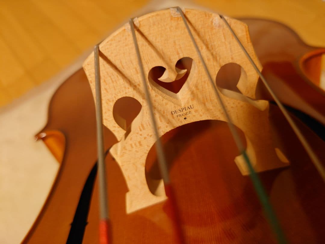 Andreas Eastman VC100 4/4 チェロ　イーストマン