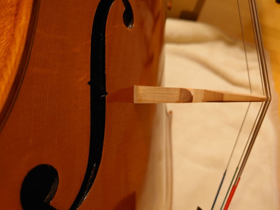 Andreas Eastman VC100 4/4 チェロ　イーストマン