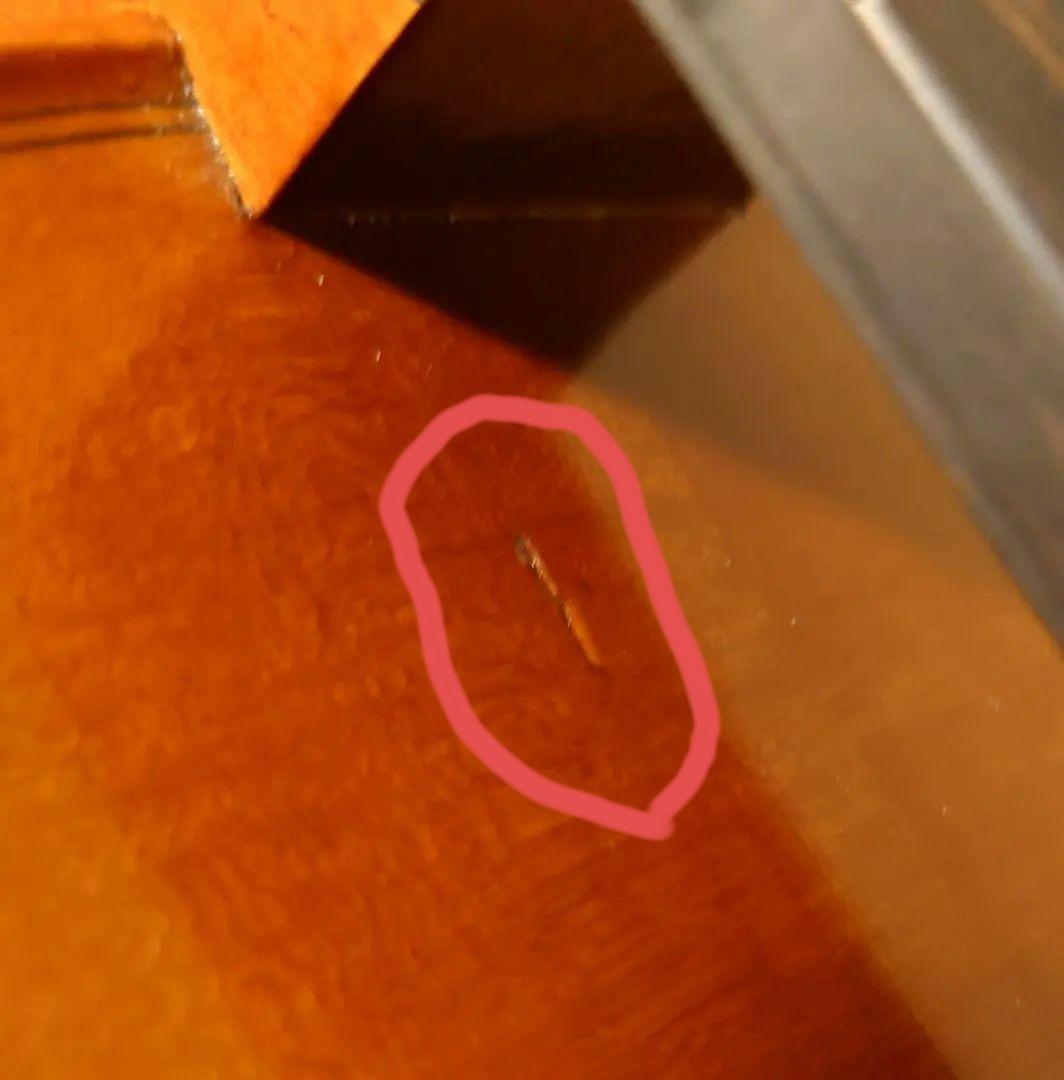 Andreas Eastman VC100 4/4 チェロ　イーストマン