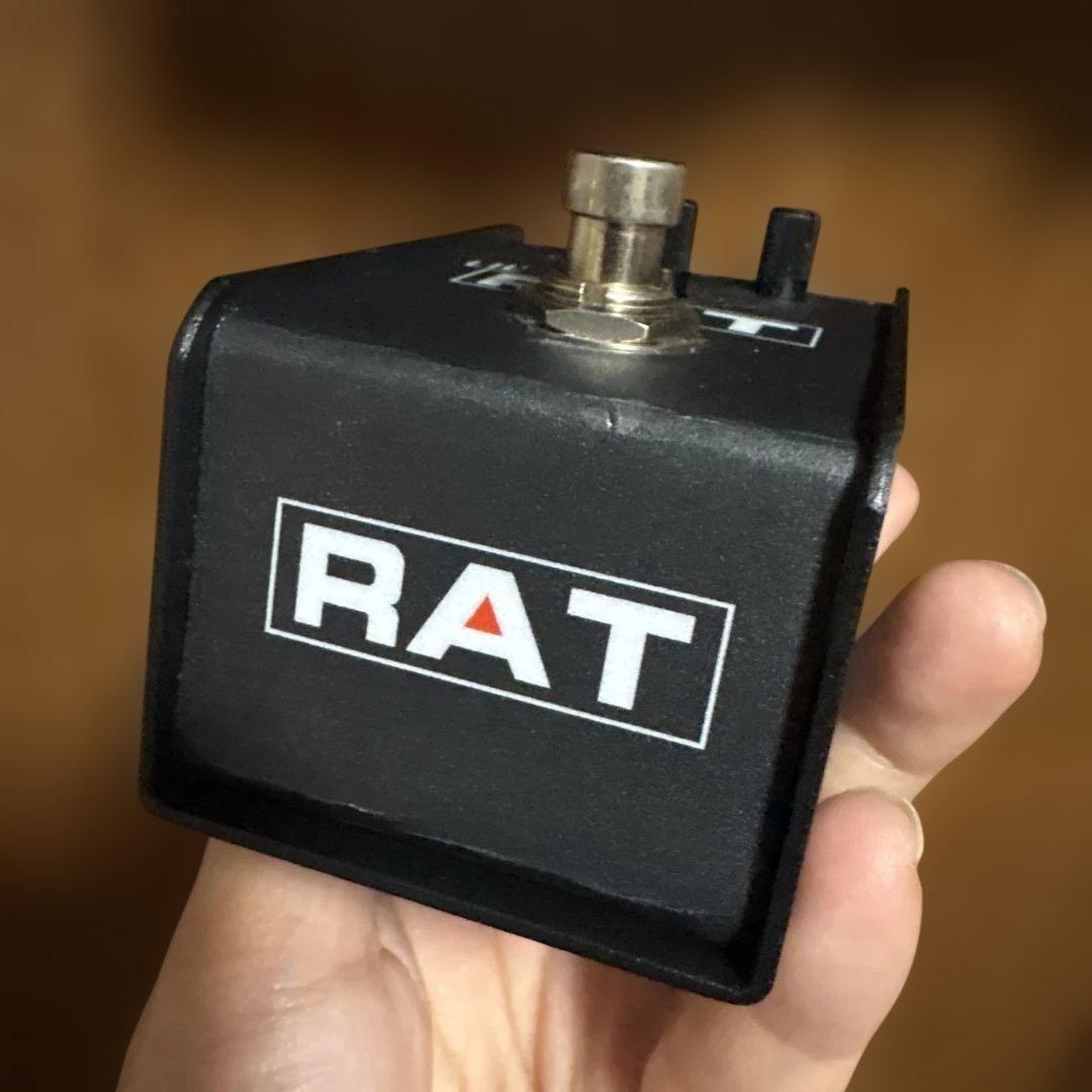 ギター LIL' RAT