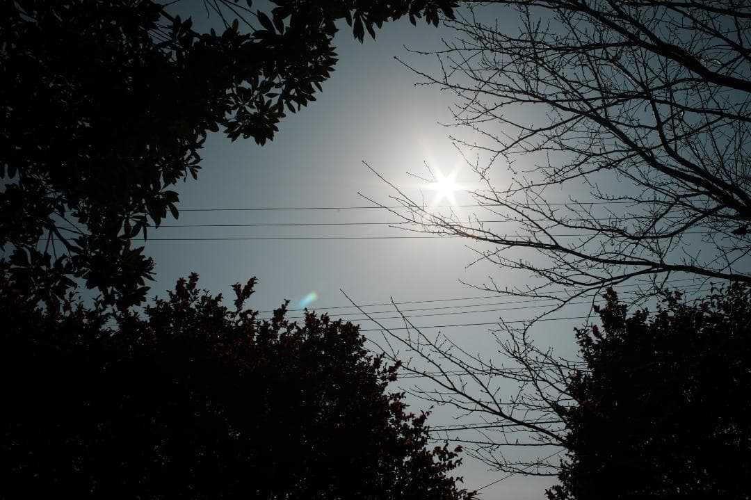 レンズ(単焦点) Carl Zeiss Distagon 35mm f2.8 AEJ 874
