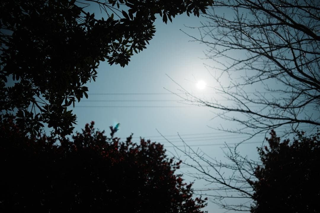 レンズ(単焦点) Carl Zeiss Distagon 35mm f2.8 AEJ 874