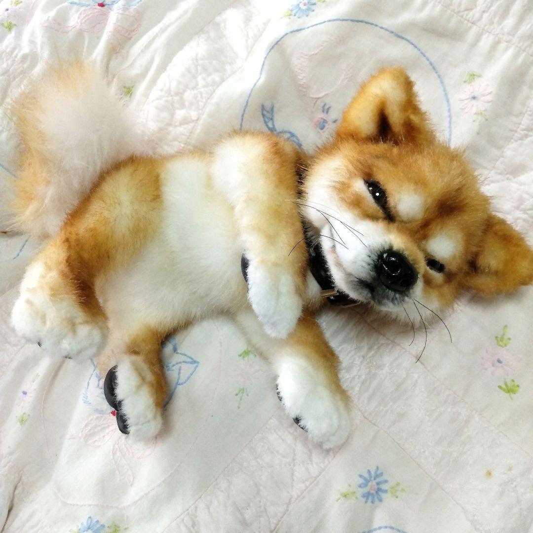 作家さま❤ぬいぐるみ❤テディベア❤アートドール　アーティストベア　柴犬　犬