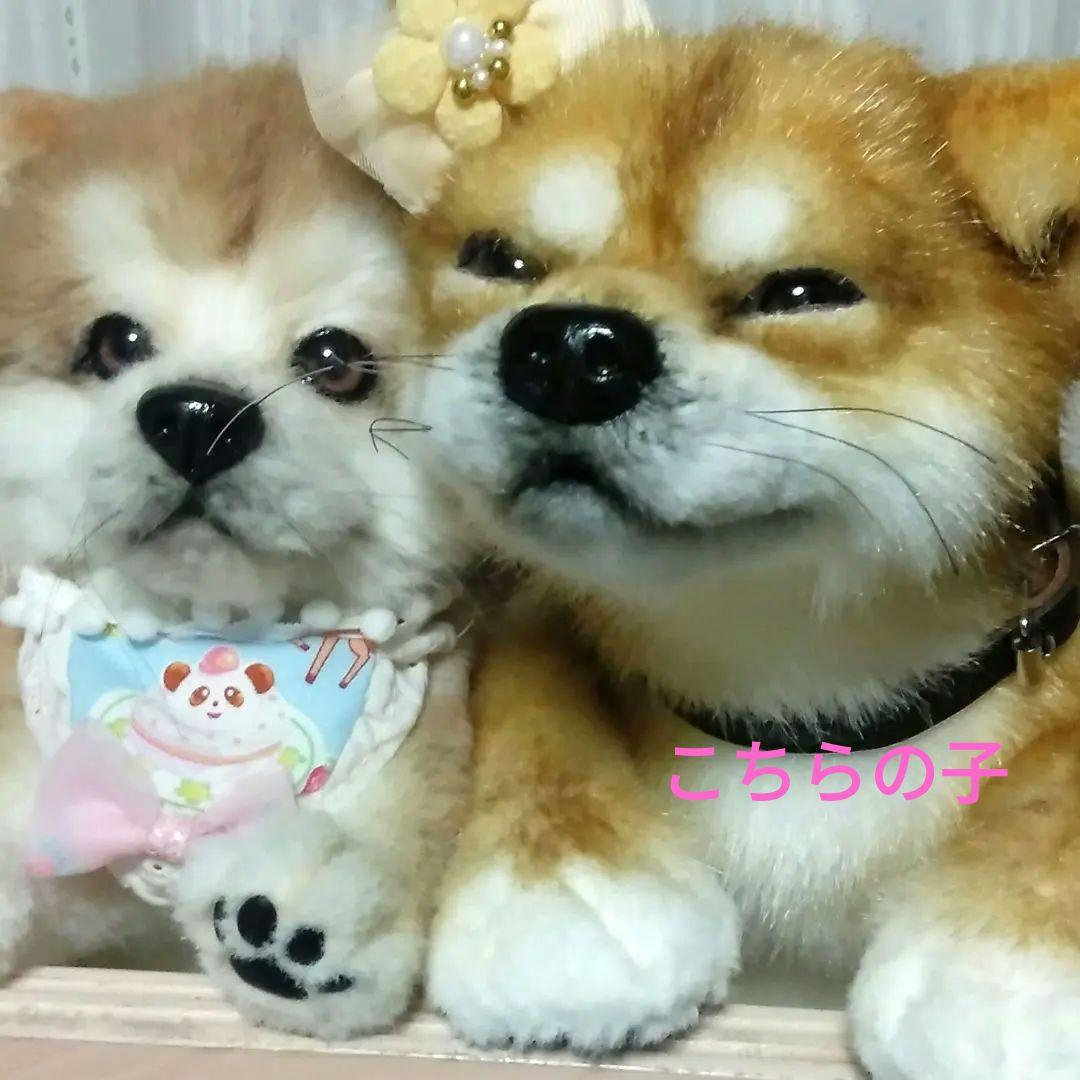 作家さま❤ぬいぐるみ❤テディベア❤アートドール　アーティストベア　柴犬　犬