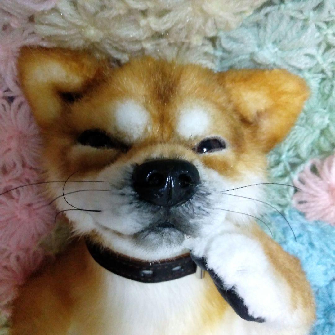 作家さま❤ぬいぐるみ❤テディベア❤アートドール　アーティストベア　柴犬　犬