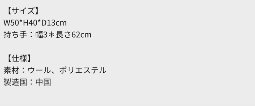 oasis live'25 トートバッグ/未使用