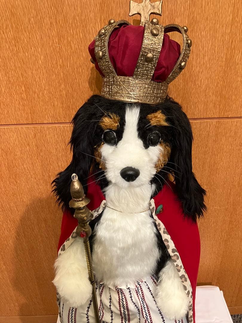 ぬいぐるみ　裸の王様犬　確認用