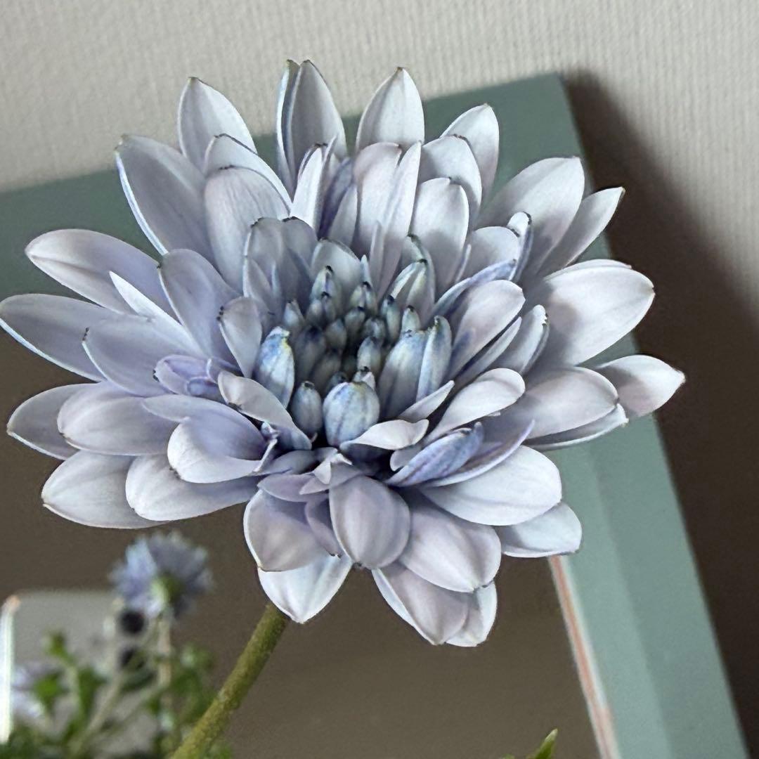 コロロン。。様　確認用