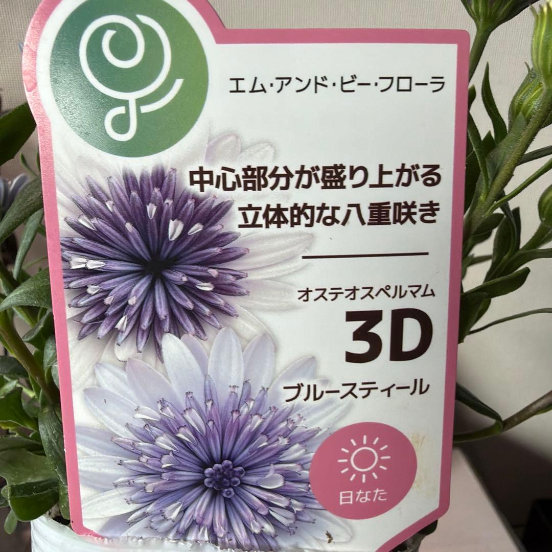 コロロン。。様　確認用