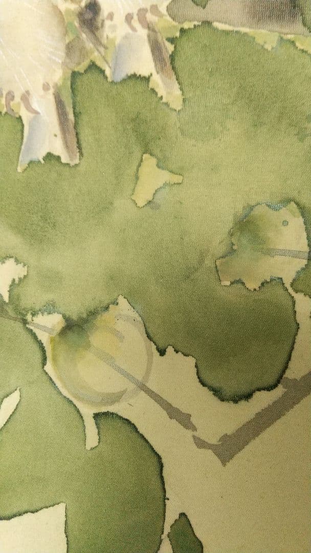 榊原雨村 青梅と雀 絹本掛軸 共箱 榊原紫峰の兄