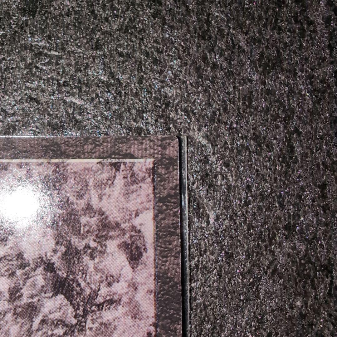 遊戯王 ダンジョンダイスモンスターズ ビッグシールドガードナー メルカリ便