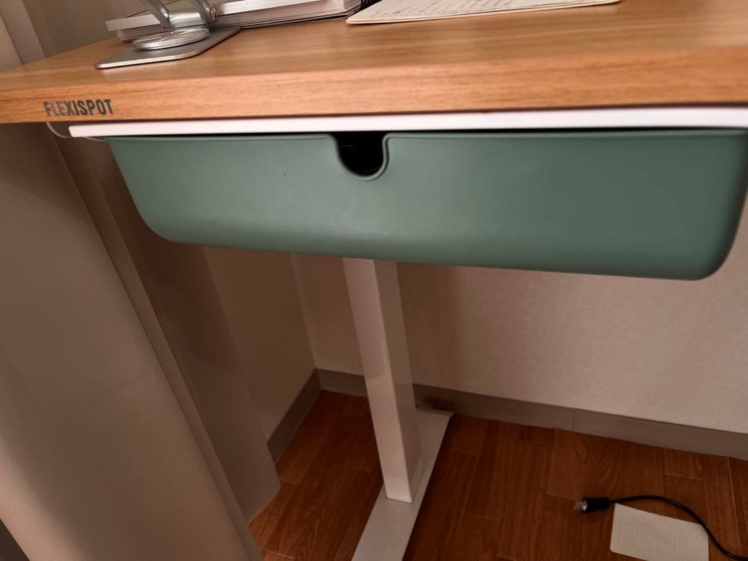 FlexiSpot 電動昇降デスク E9 120cm