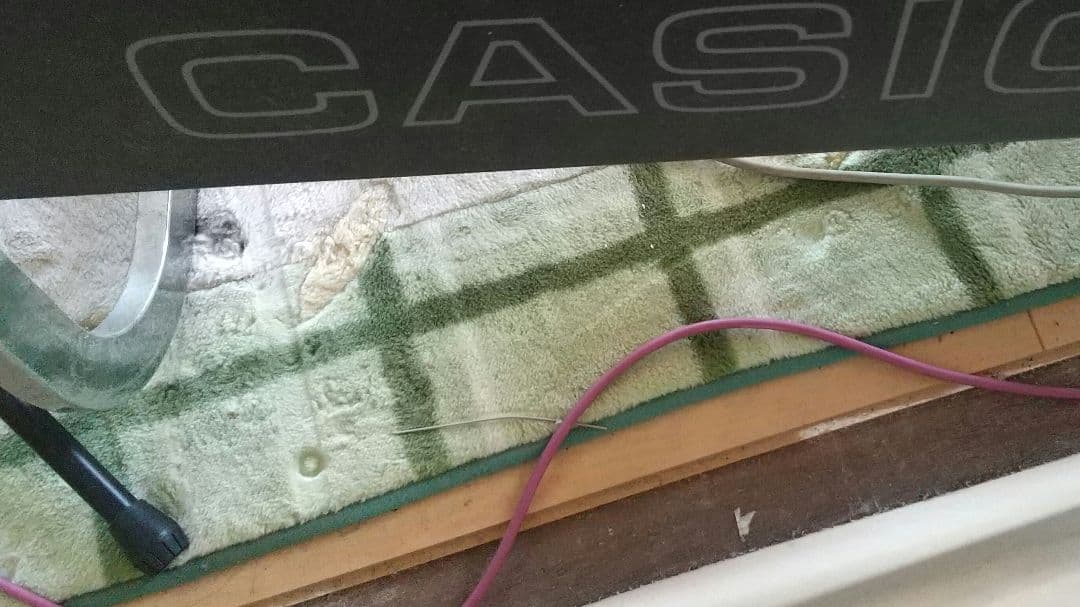 CASIO カシオトーン405
