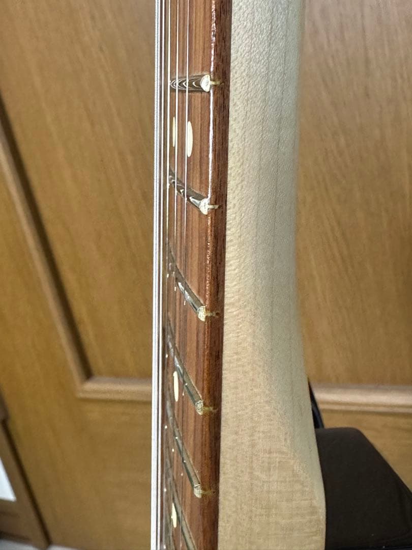 fender MEX PLAYER TELE HH PF 3TS カスタム