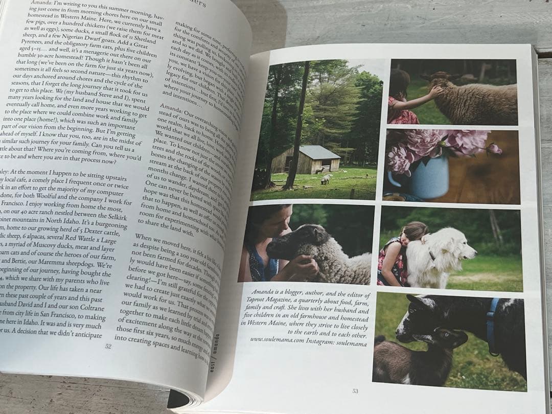 キャリーボスティックホーゲ 「Making 」Ma gazine編み物 クラフト