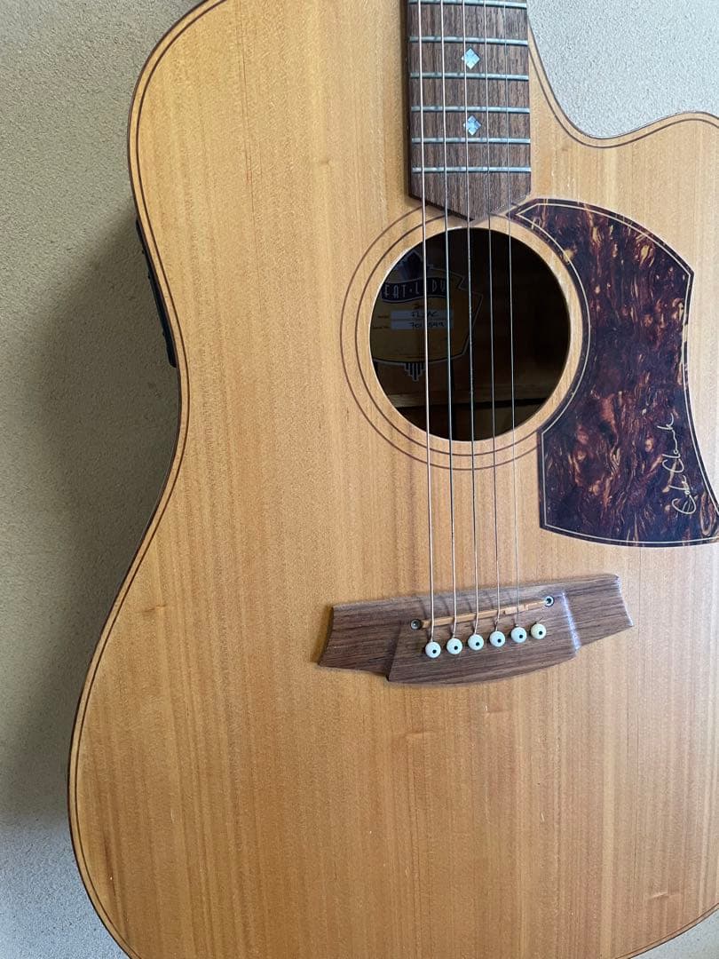 Cole Clark FL2AC コールクラーク　エレアコ