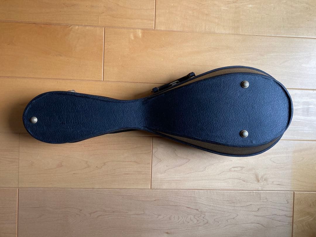 マンドリン 8弦 スプルースボディ