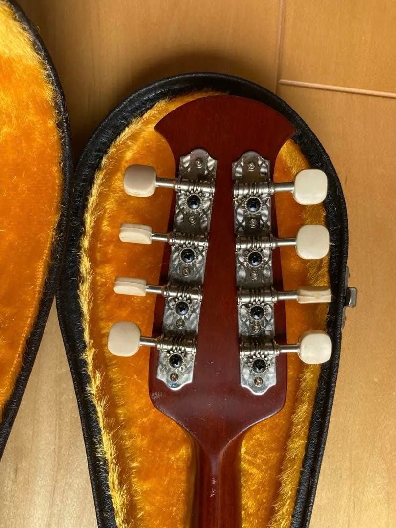 マンドリン 8弦 スプルースボディ