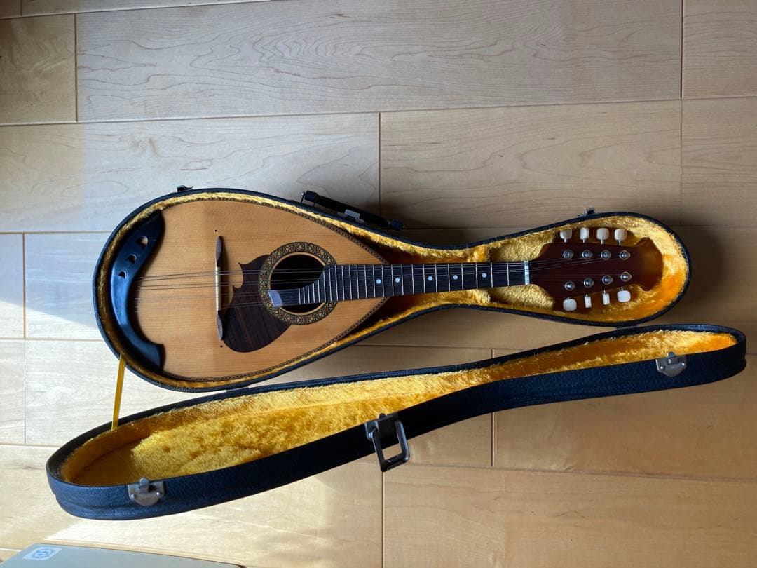 マンドリン 8弦 スプルースボディ