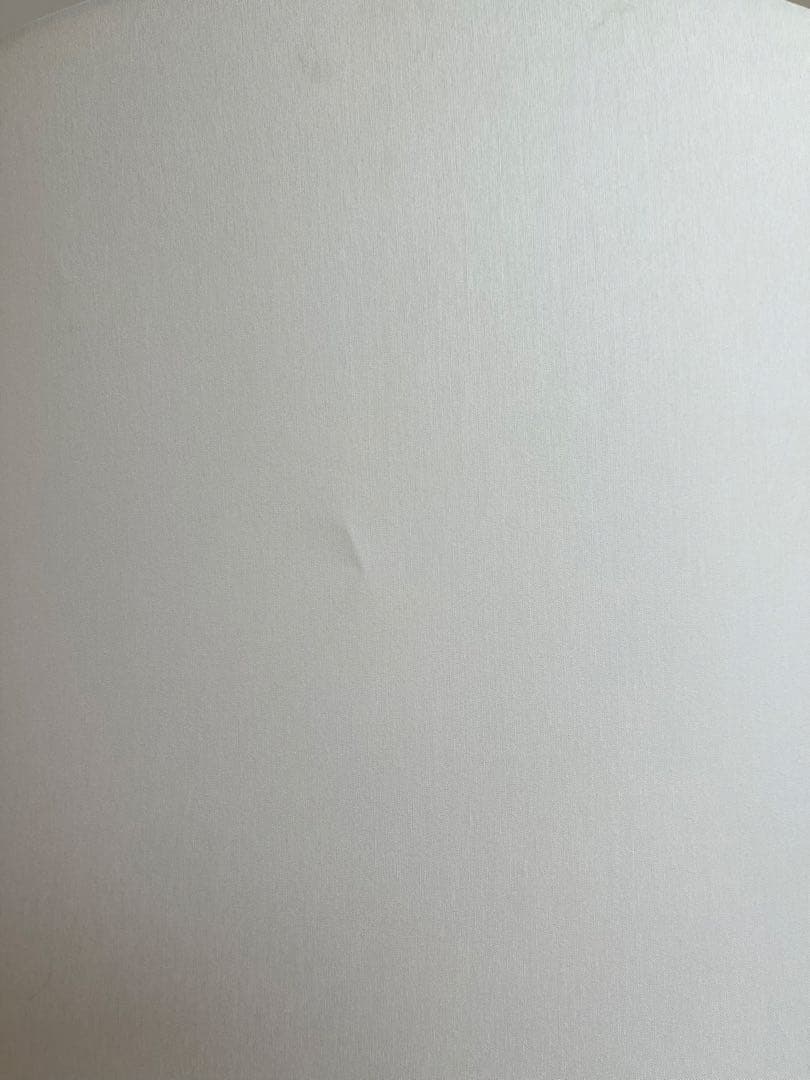 cappellini BIG SHADOW マルセルワンダース フロアスタンド