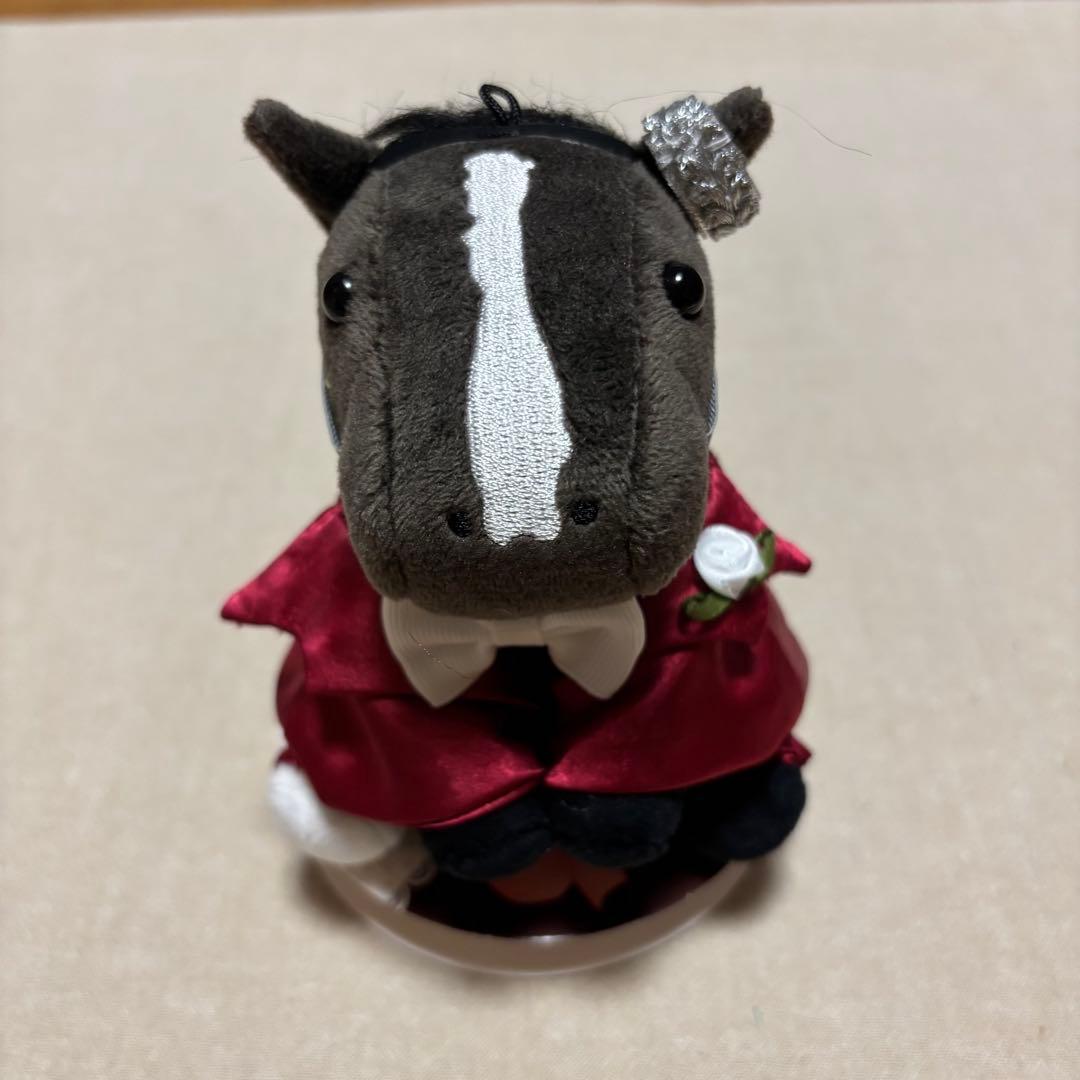 アイドルホース❣️ドレス❣️マント❣️