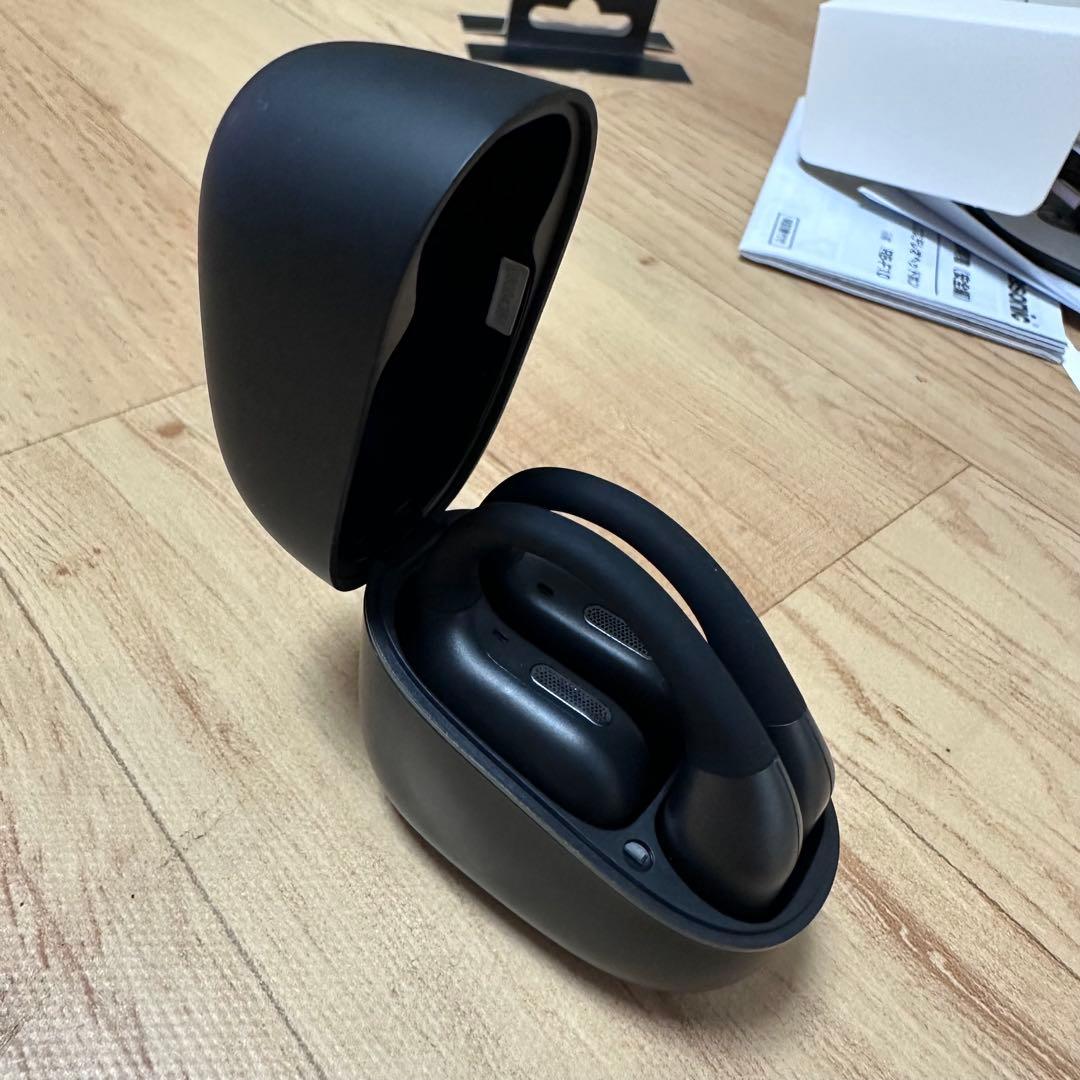 Panasonic RB-F10イヤホン 美品 保証あり(10月末で削除)