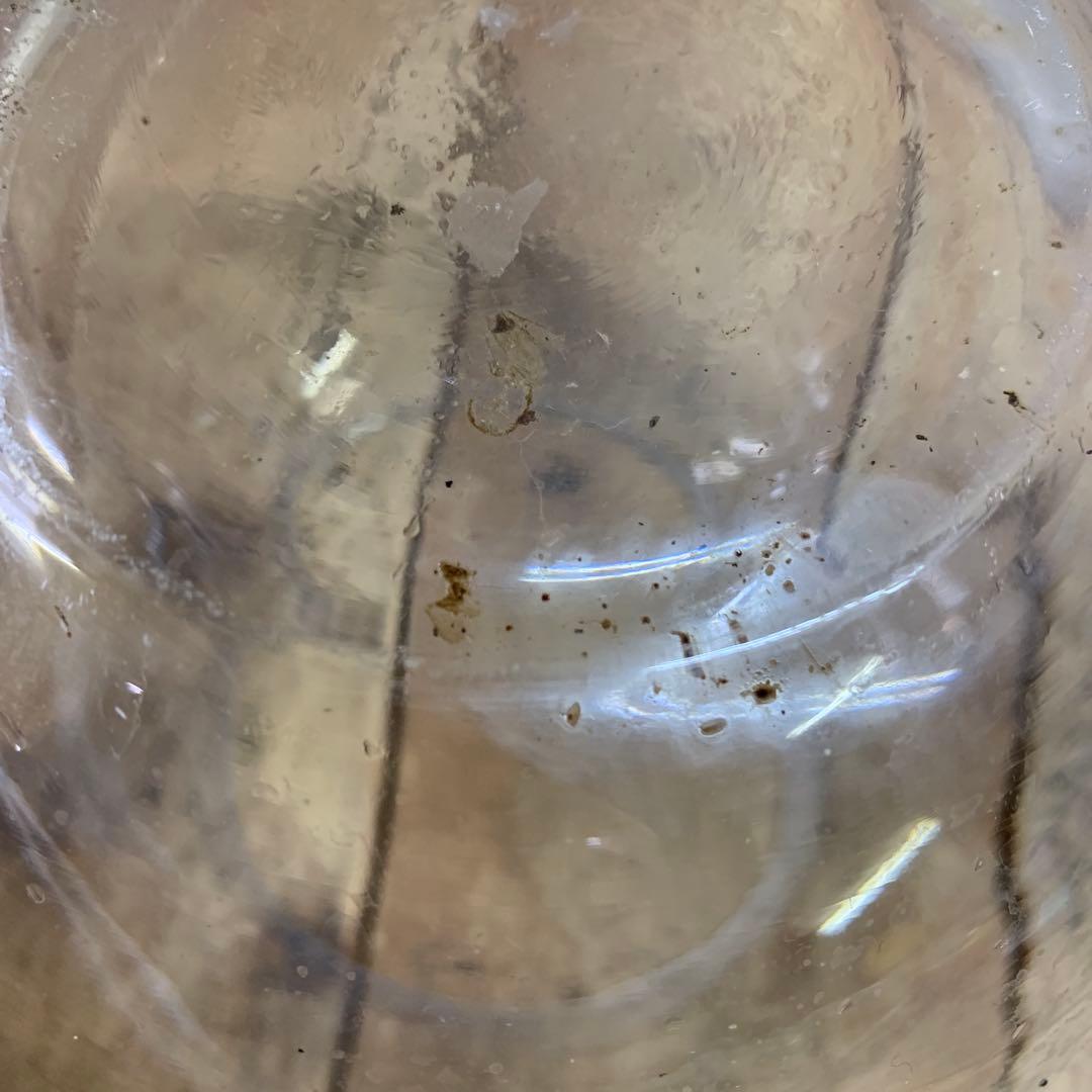 C-壁 【シンプル・レトロ】丸型 ガラス鉢 金魚鉢 フラワーベース テラリウム