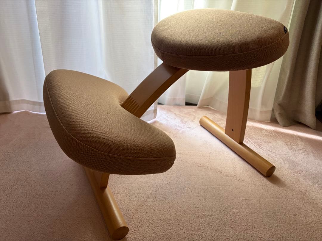 【直接渡し】サカモトハウス バランスイージー 2脚セット（撥水カバー付）美品