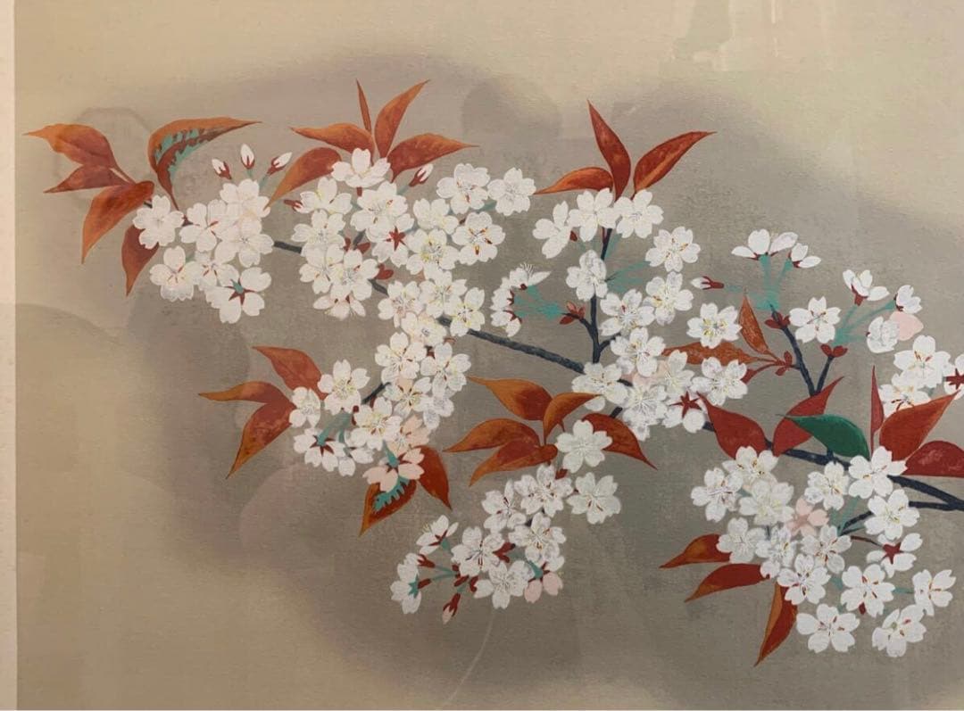 濱田台児「桜」リトグラフ 006/175 額付　美品 花絵画