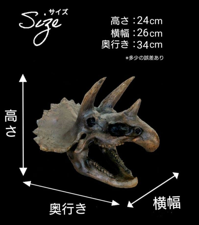 ✨大迫力✨ トリケラトプス　恐竜の化石 レプリカ ジュラシックワールド