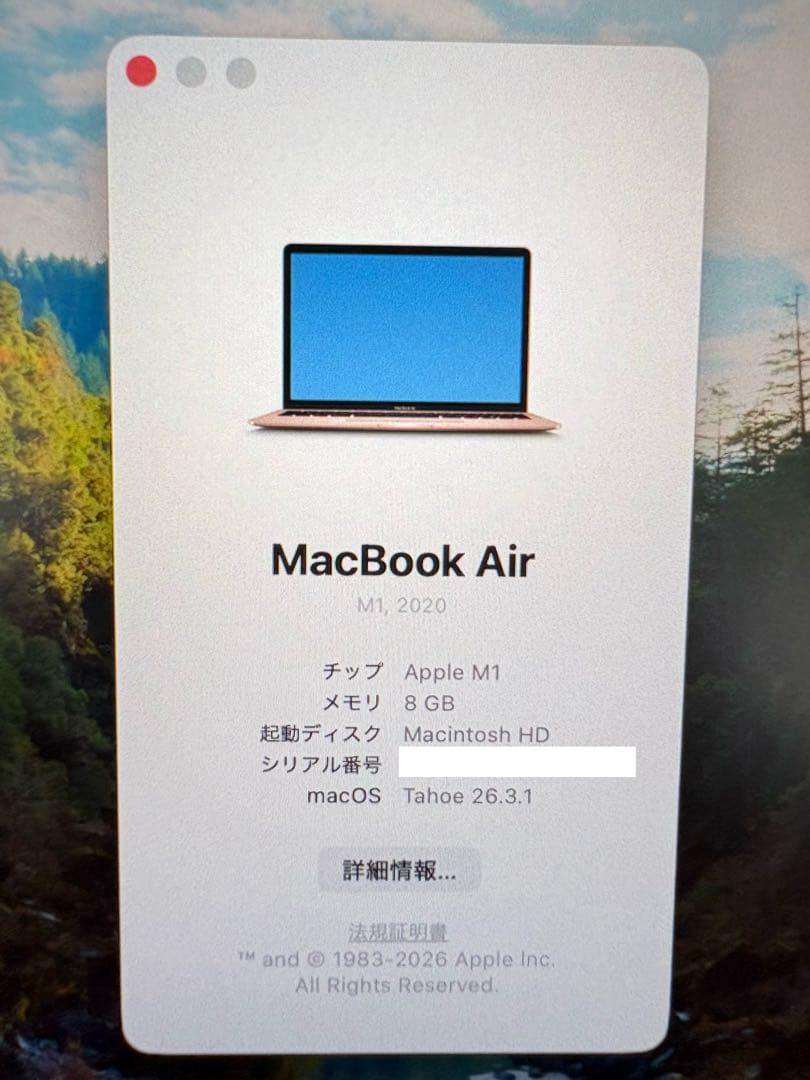 MacBook Air M1 8GB SSD256GB バッテリー94% 箱付