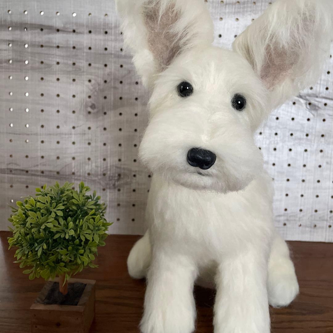 羊毛フェルト　ミニチュアシュナウザー　白シュナちゃん　Ｌサイズ