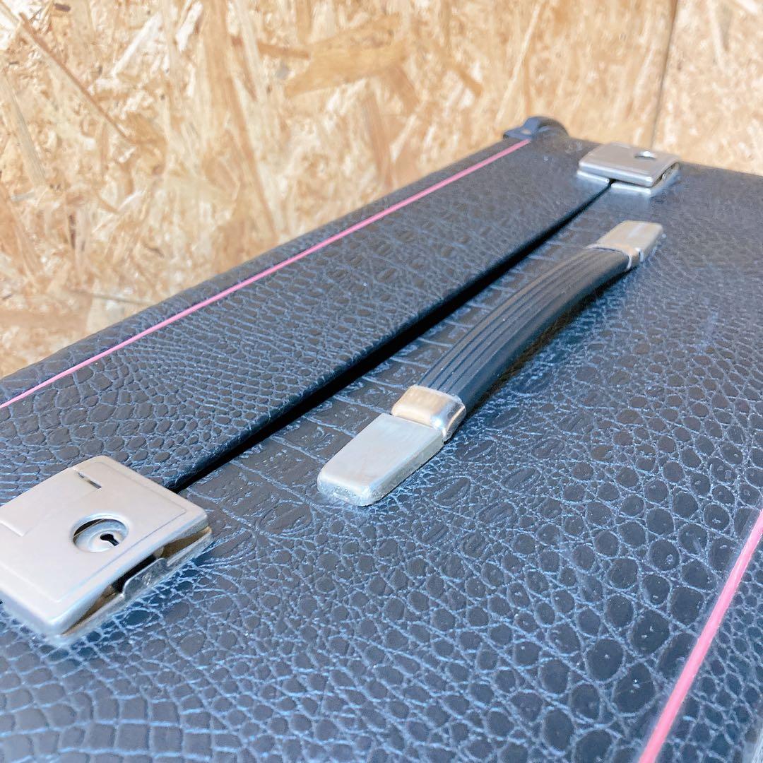 Excelsior エキセルシャー　model 704 アコーディオン　ケース付