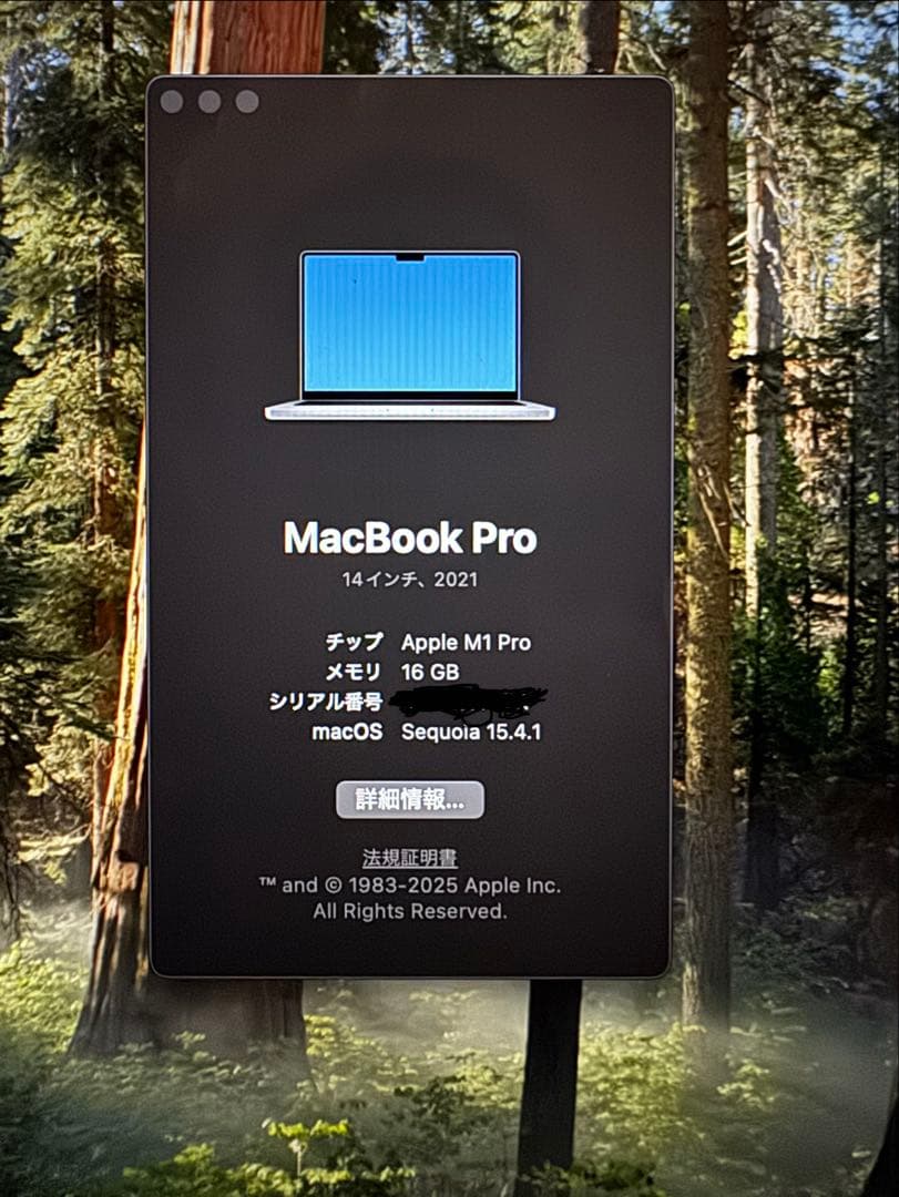 Apple MacBook Pro 14インチ (2021) 16GB 1TB