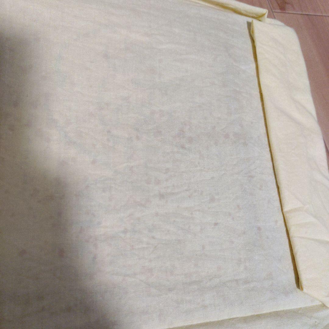 マイケル・ルー 版画エディションナンバー Ｎｏ．1 猫 cat 直筆サイン入り