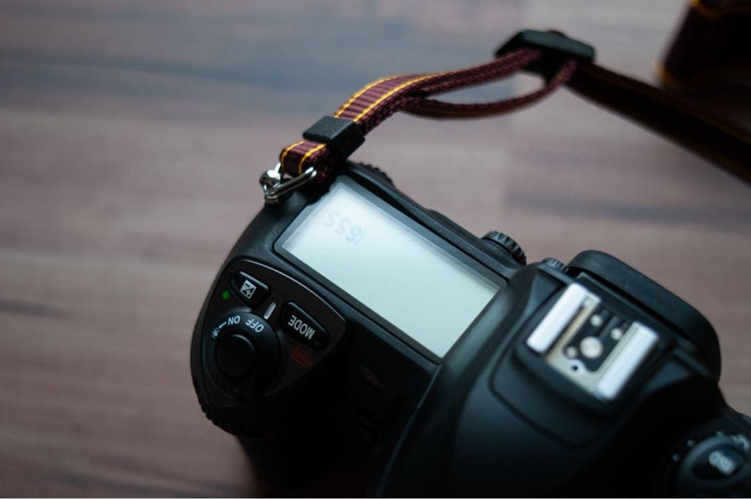 Nikon D200 極美品 2061ショット