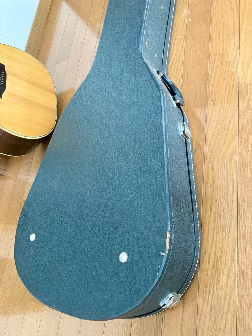 Rider. R-400D & L.R.Baggs M80 PU付き