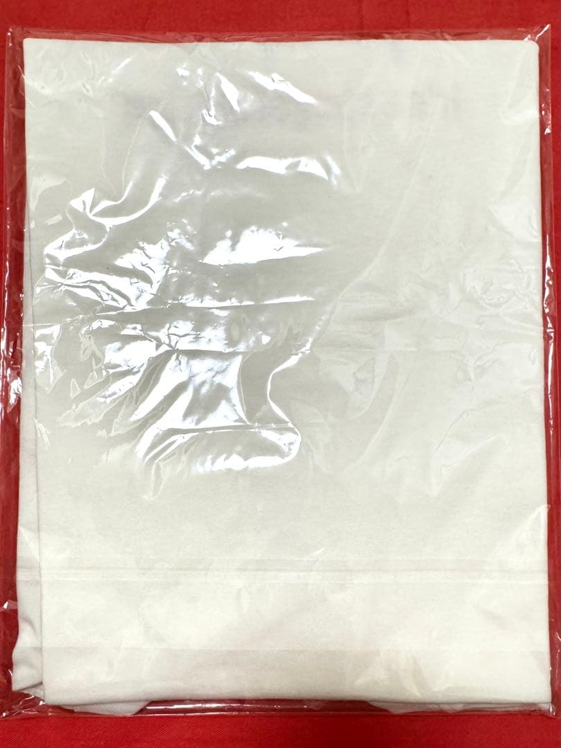 新品 Hi-STANDARD ハイスタンダード『SLS』Tシャツ白L 横山 健