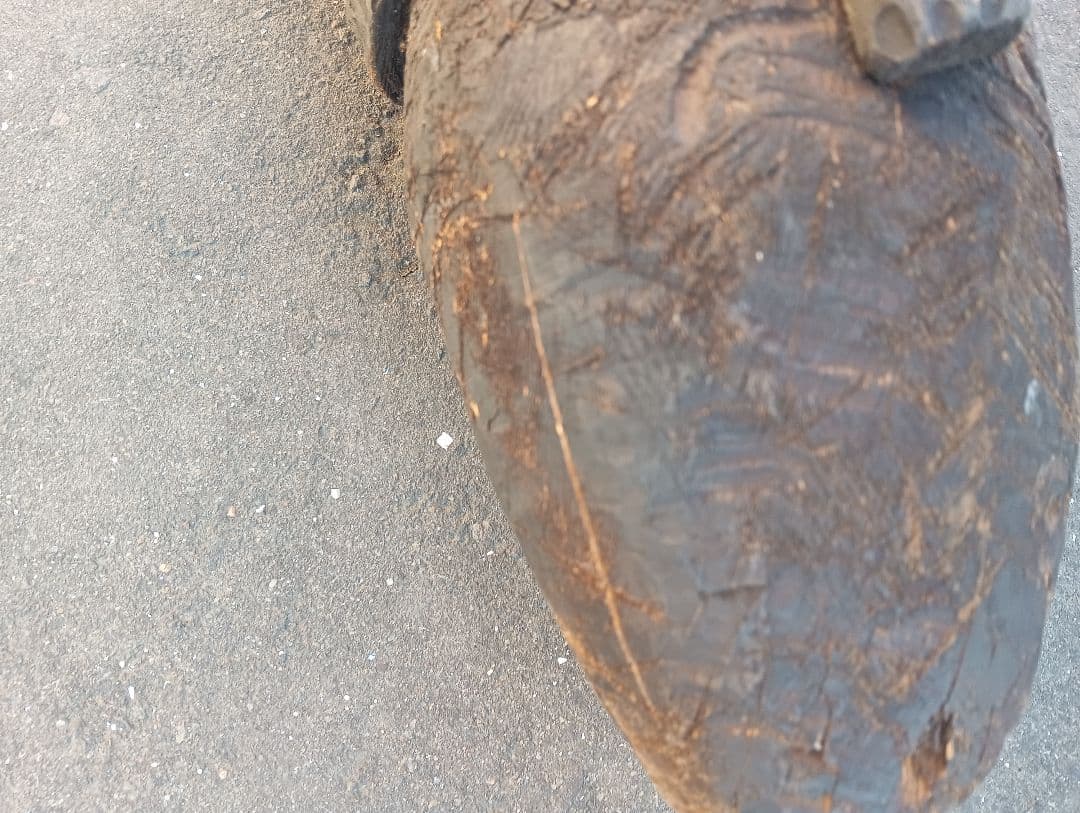 木製 魚型彫刻　木彫　江戸　明治　大正　昭和　戦前　鯉